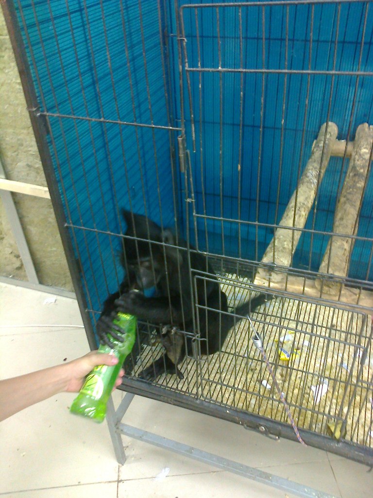 Наталья Ильина | Вологда