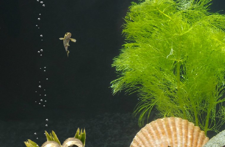 Елизавета Беляева | Самара