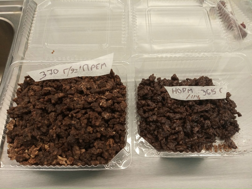 Антон Судников | Новосибирск