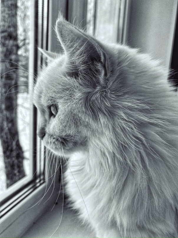 Наталья Якимова | Сочи