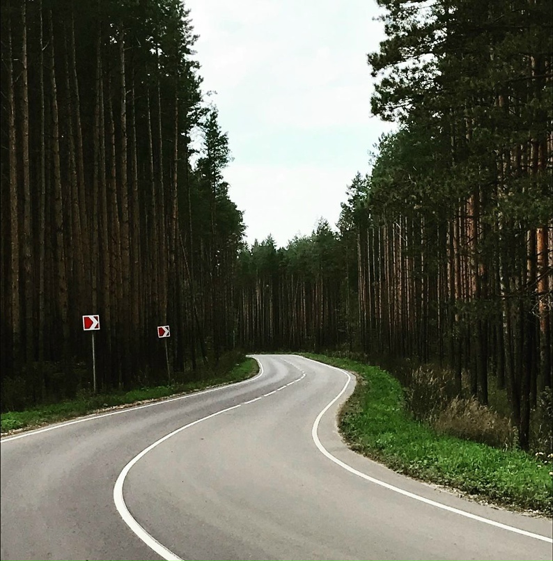 Даниил Шишкин |