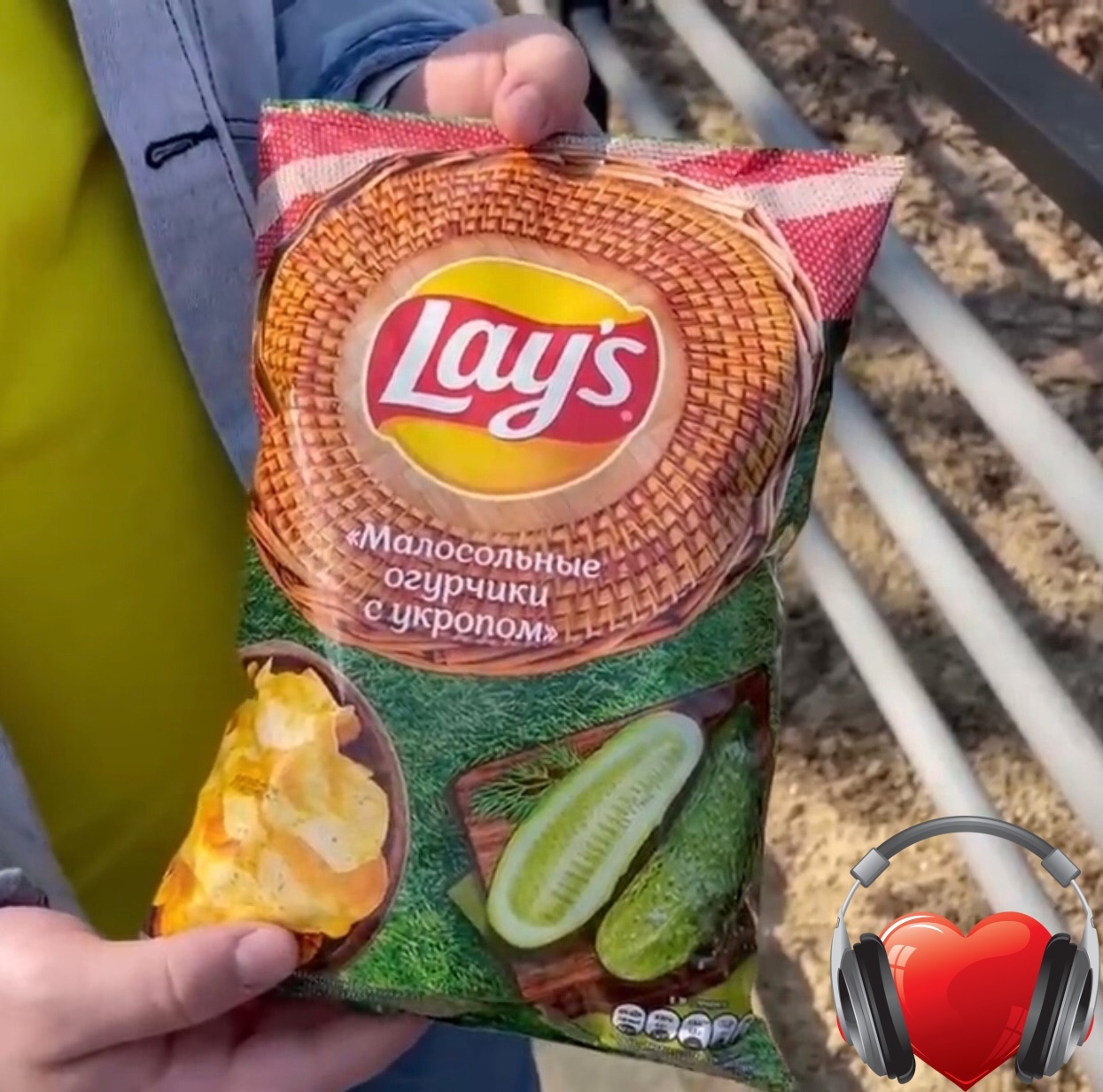 Вкусы чипсов lays