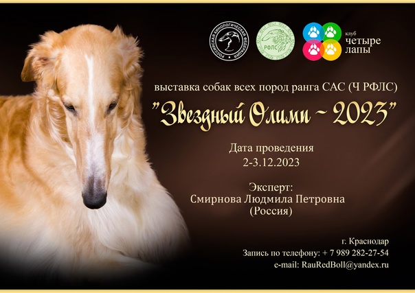 Приглашаем на племенной смотр! Уикэнд в Павловске. В парковой зоне, недалеко от