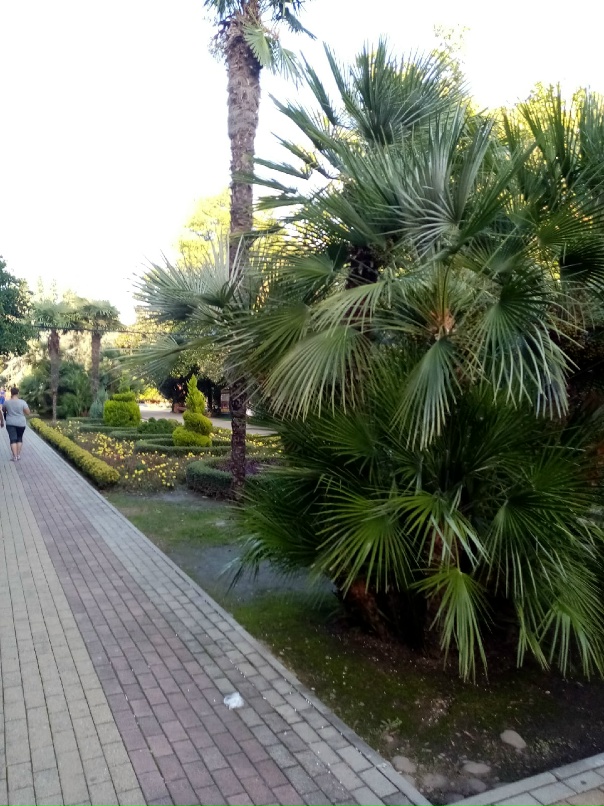 Светлана Скворцова | Екатеринбург