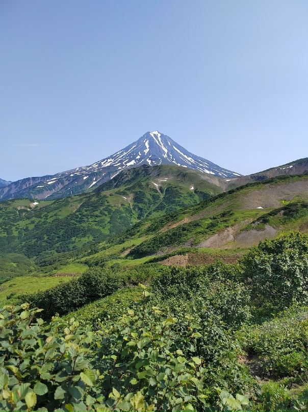 Илья Герман | Новосибирск