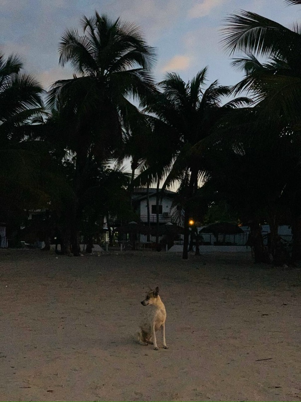 Сергей Капустин | Москва