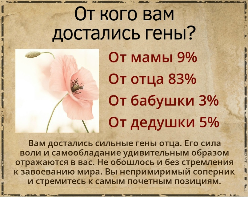Алина Зубкова | Севастополь