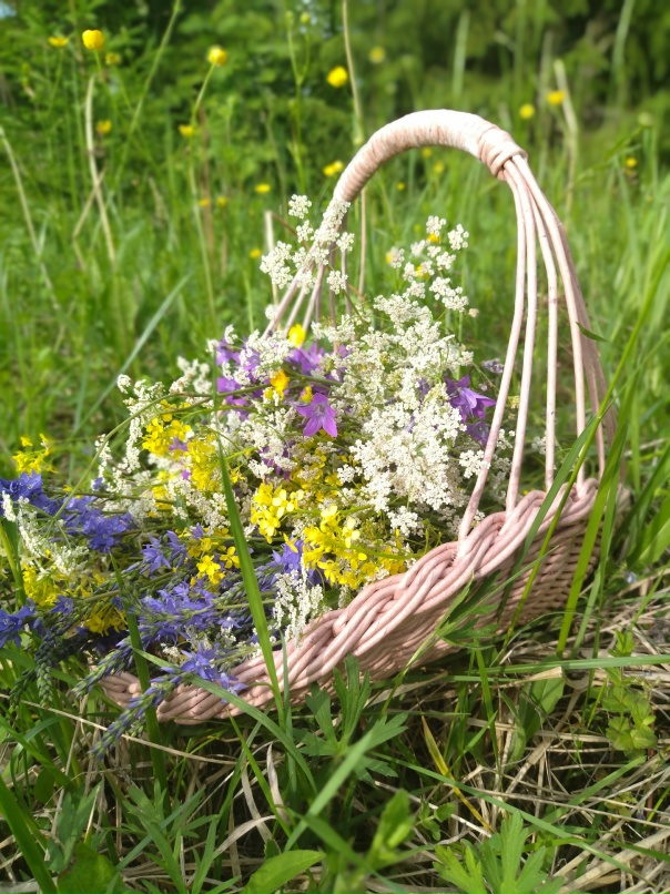 Евгения Рязанова | Пермь