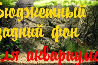 Как приклеить задний фон на аквариум. Аквариум для начинающих! #Задний фон аквариума