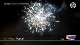 СЛ164099  Фурор