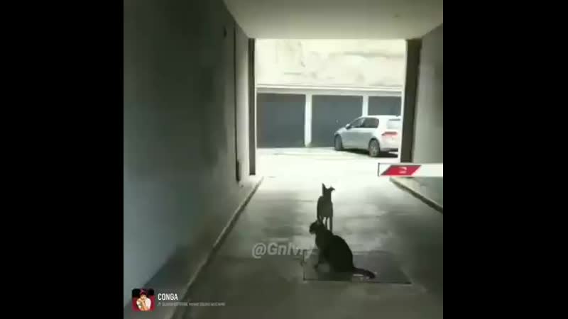 Sacando los pasos prohibidos 🤭
