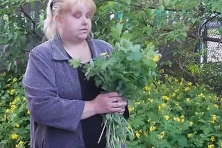 Чистотел убивает раковые клетки!