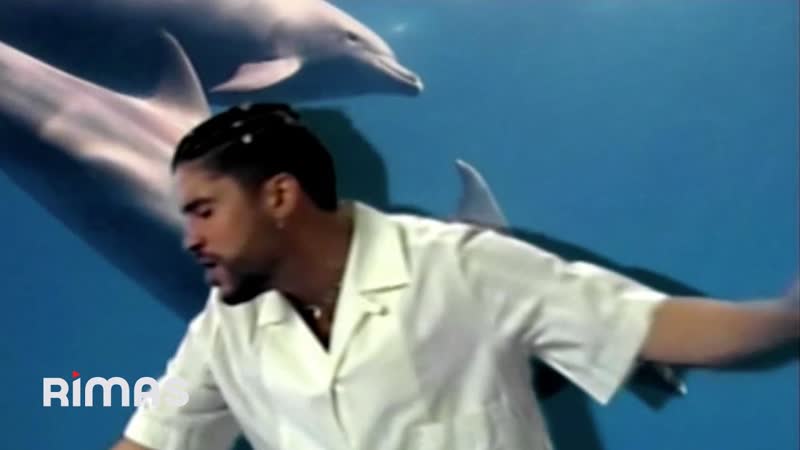 Bad Bunny Neverita ( Video Oficial), Un Verano Sin