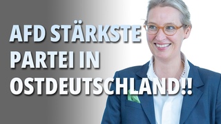 REKORDERGEBNIS für AfD in Ostdeutschland