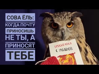 Сова Ёль взялась за распаковку посылок, не дождавшись меня. Сова-делова и много УГУ