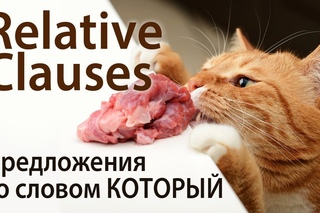 Relative Clauses