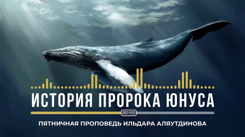 История Пророка Юнуса (А. С.