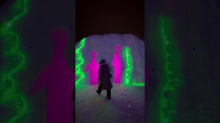 The best trip in the New year.🎊The Mysterious forest,🌲🗿👽 Murmansk region, Russia