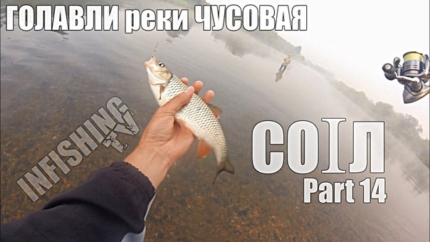 COIЛ. Part 14. Голавли реки Чусовая. Часть