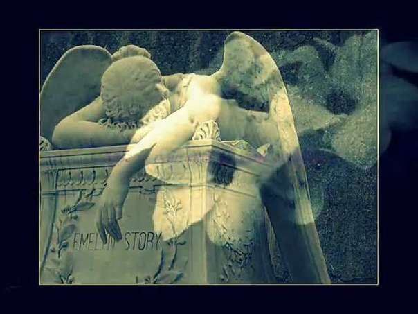 Yendri Reality