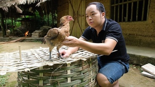 I successfully trap the hen, taming of wild chickens. Primitive Skills (ep183)