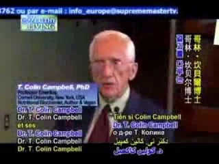 Китайское исследование. Колин Кэмпбелл.The China Study