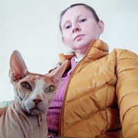 Фотография Елены Солнышко ВКонтакте