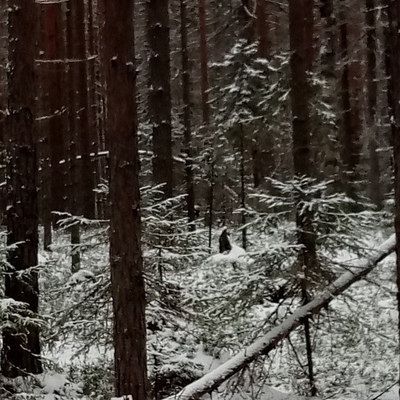 Фото Людмила Федосеева
