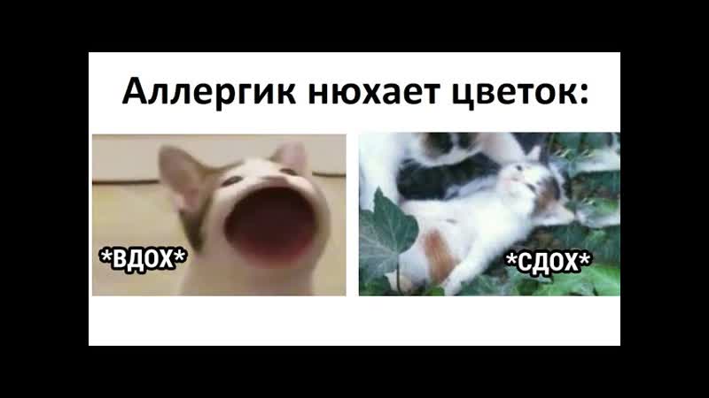 Аллергик нюхает цветок: 1 Вдох , 2