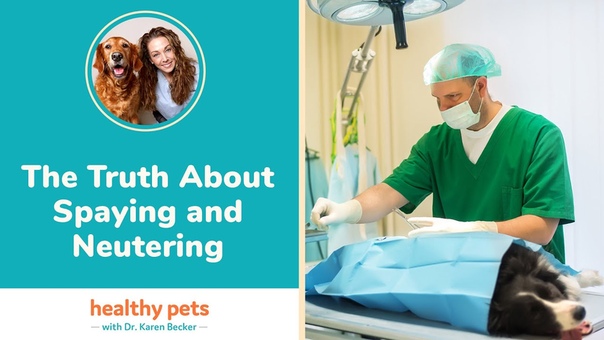 Правда о кастрации и стерилизации, The Truth About Spaying and