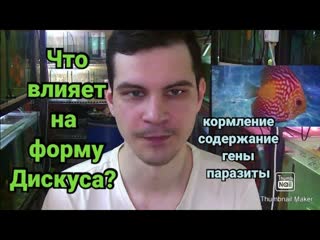 Качество рыбы словами любителя